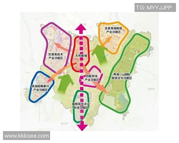 成都乒乓球队的节奏分析与未来发展方向探讨