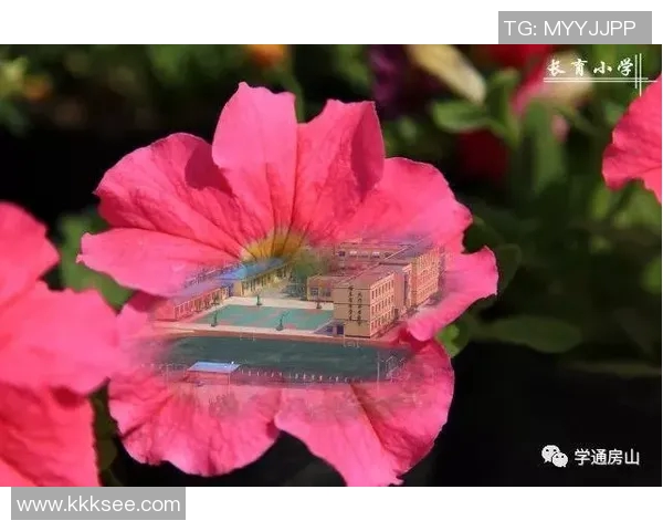 李静:从绿茵场到人生舞台的深度对话与启示 李静:从绿茵场到人生舞台的深度对话与启示